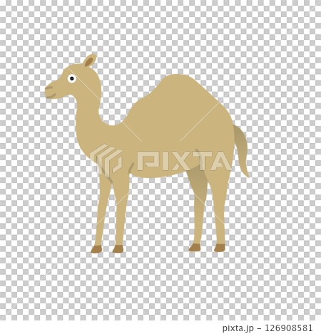 簡單的動物插畫：駱駝 126908581