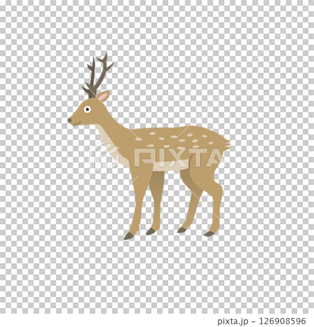 Simple animal illustration: Deer Simple animal illustration: Deer 126908596