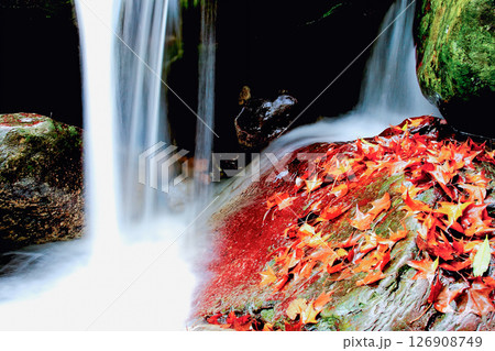 Autumn Leaves Under Qing Shan Waterfall. Autumn Leaves Under Qing Shan Waterfall. 126908749