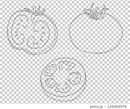 Tomato line drawing Tomato line drawing 126908976