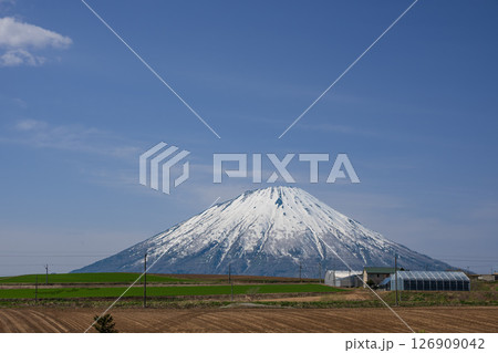 春の残雪の羊蹄山 青空に浮かぶ雲 126909042