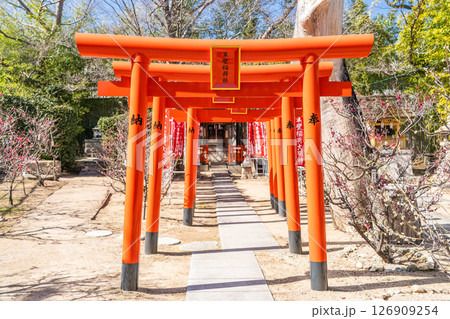 綱敷天満神社（御影の天神様）境内社　草壁稲荷神社　商売繫盛　神戸市東灘区御影 126909254
