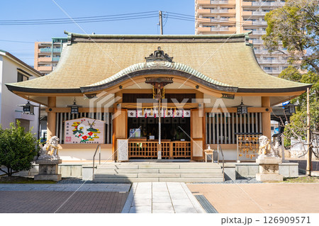 箒の宮 徳井神社 拝殿(徳井の八幡社三座の上宮)安産祈願(安産箒を授ける)神戸市灘区大和町 箒の宮 徳井神社 拝殿(徳井の八幡社三座の上宮)安産祈願(安産箒を授ける)神戸市灘区大和町 126909571