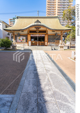 箒の宮 徳井神社 拝殿(徳井の八幡社三座の上宮)安産祈願(安産箒を授ける)神戸市灘区大和町 箒の宮 徳井神社 拝殿(徳井の八幡社三座の上宮)安産祈願(安産箒を授ける)神戸市灘区大和町 126909572