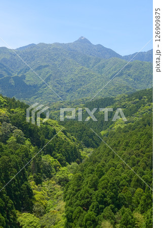 屋久島の愛子橋から望む愛子岳 126909875