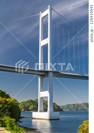 《愛媛県》来島海峡大橋の眺め・今治の海岸線 《愛媛県》来島海峡大橋の眺め・今治の海岸線 126910045