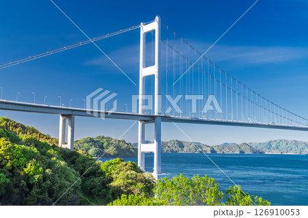 《愛媛県》来島海峡大橋の眺め・今治の海岸線 《愛媛県》来島海峡大橋の眺め・今治の海岸線 126910053