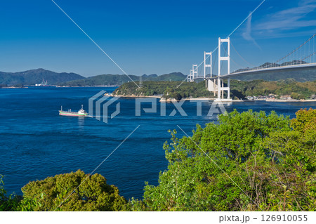 《愛媛県》来島海峡大橋の眺め・今治の海岸線 《愛媛県》来島海峡大橋の眺め・今治の海岸線 126910055