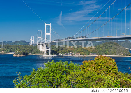 《愛媛県》来島海峡大橋の眺め・今治の海岸線 126910056