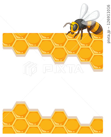 Bee on Honeycomb Vector Illustration 126911016