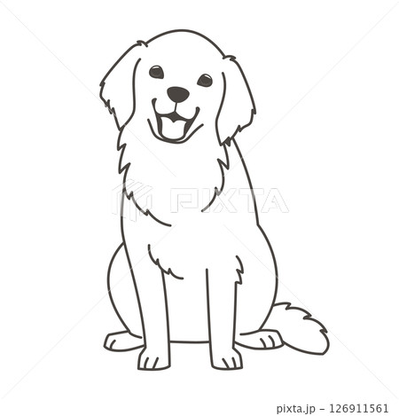 ゴールデンレトリーバー 126911561