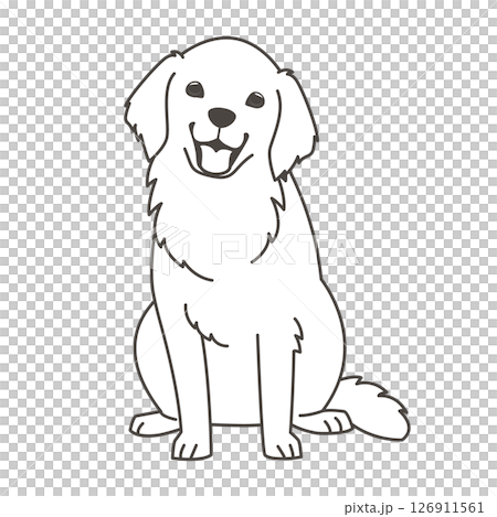 金毛獵犬 126911561