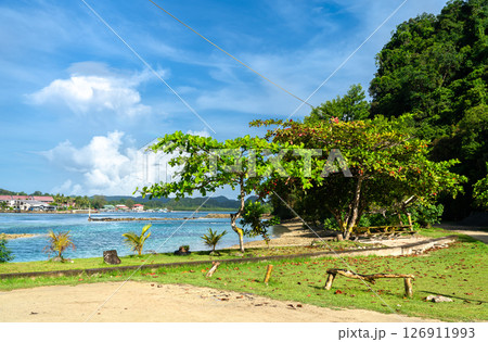 Turquoise lagoon laps Long Island Park Beach in Koror, Palau, where lawn, shady trees, and a picnic bench overlook calm Pacific waters and distant village rooftops under a bright sky. 126911993