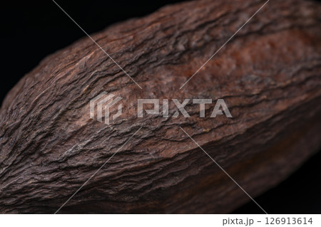 チョコレートの原料カカオの実のテクスチャ 126913614