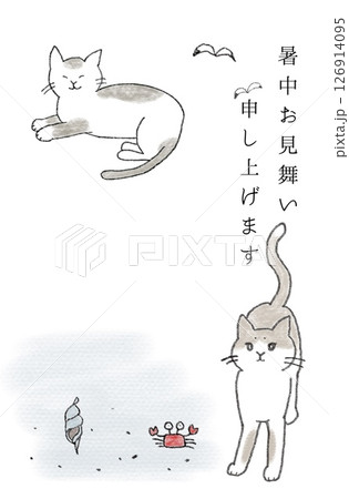 猫の夏 126914095