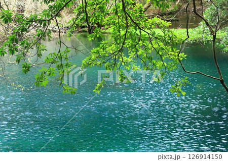 神秘の泉 丸池様 神秘の泉 丸池様 126914150