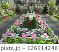 浜松フラワーパーク 126914246