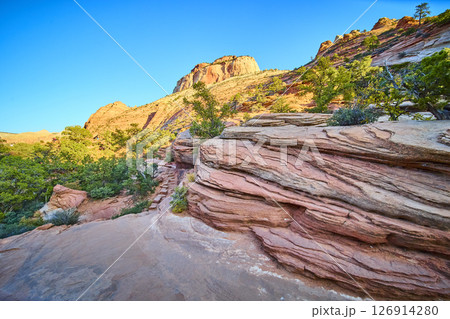 Zion Sandstone Formations in Golden Light Eye-Level View Zion Sandstone Formations in Golden Light Eye-Level View 126914280