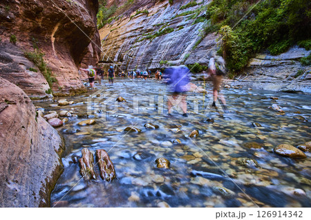 Hikers Trekking Through Zion Canyon Riverbed Eye-Level Perspective Hikers Trekking Through Zion Canyon Riverbed Eye-Level Perspective 126914342