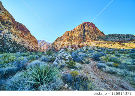 Red Rock Canyon Desert Pathway with Rugged Cliffs Eye Level View 126914372