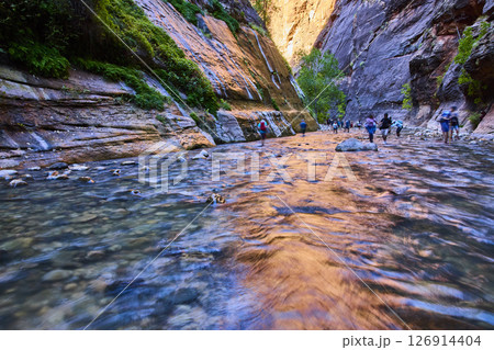 Hikers in The Narrows Zion Canyon Motion Flow Perspective Hikers in The Narrows Zion Canyon Motion Flow Perspective 126914404