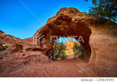 Red Rock Arch Desert Landscape and Vegetation with Walk Through Perspective Red Rock Arch Desert Landscape and Vegetation with Walk Through Perspective 126914545