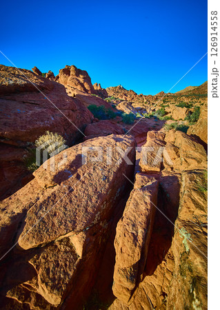 Red Rock Sandstone Boulders and Desert Vegetation with Ground Level Perspective Red Rock Sandstone Boulders and Desert Vegetation with Ground Level Perspective 126914558