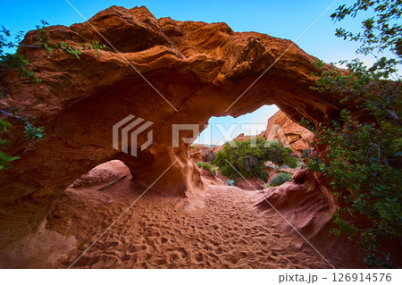 Sandstone Arch with Footprints and Desert Vegetation Ground Level Perspective 126914576