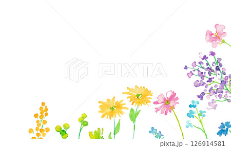 水彩画。水彩タッチのカラフルな花花束イラスト。色とりどりの花のベクターフレーム背景。 126914581