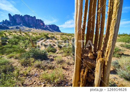 Weathered Saguaro Skeleton and Superstition Mountains Sonoran Desert Close Up 126914626