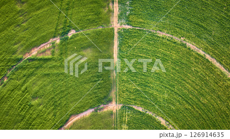 Aerial Center Pivot Irrigation Circles and Crop Fields Geometric Paths Top Down 126914635
