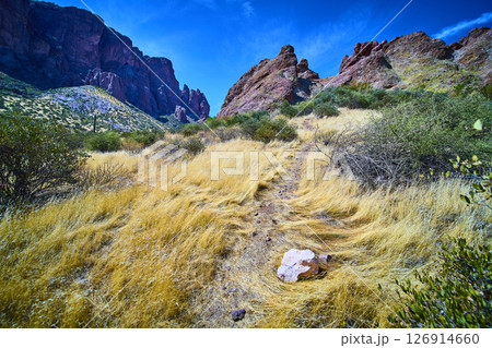 Desert Hiking Trail with Red Rock Cliffs and Golden Grasses Low Trail Perspective 126914660