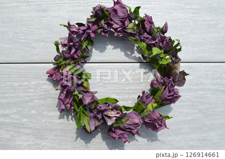 クリスマスローズのドライフラワーのリース  クリスマスローズのドライフラワーのリース  126914661