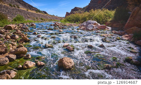 Aerial Motion Over Virgin River Flow Desert Rocks and Greenery Virgin River Gorge 126914687