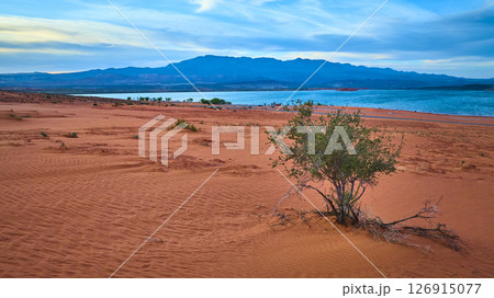 Aerial Fly Over Red Sand Dunes Desert Shrub and Blue Reservoir Sand Hollow Utah Aerial Fly Over Red Sand Dunes Desert Shrub and Blue Reservoir Sand Hollow Utah 126915077