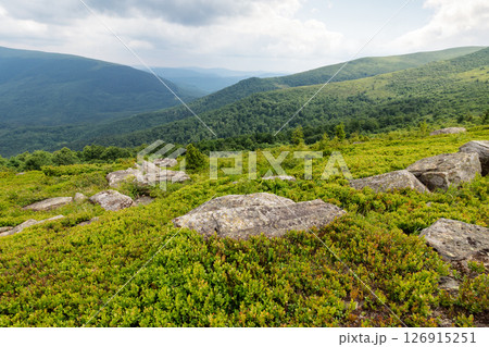 ukrainian alps in summer. rolling hills. cloudy day. boulder on the grassy hillside. carpathian mountain landscape. beautiful nature scenery. green environment 126915251