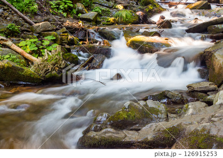 water flow of shypit stream. summer nature scenery in dappled light. closeup view of refreshing outdoor background water flow of shypit stream. summer nature scenery in dappled light. closeup view of refreshing outdoor background 126915253