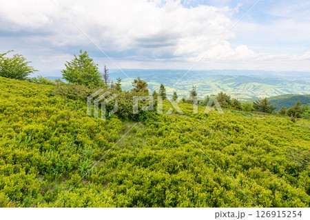 carpathian mountain landscape in summer. view in to the distant valley. cloudy sky above horizon. alpine meadow on the hill carpathian mountain landscape in summer. view in to the distant valley. cloudy sky above horizon. alpine meadow on the hill 126915254