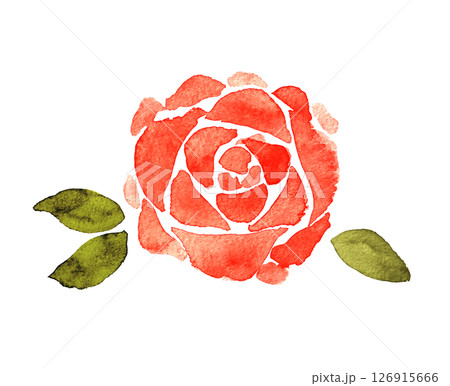 水彩のバラのイラスト素材　赤　薔薇　花　手書き 126915666