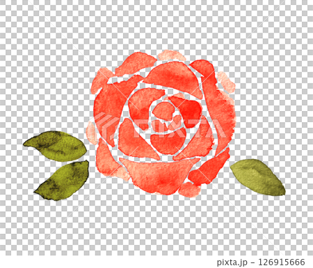 水彩のバラのイラスト素材　赤　薔薇　花　手書き 126915666