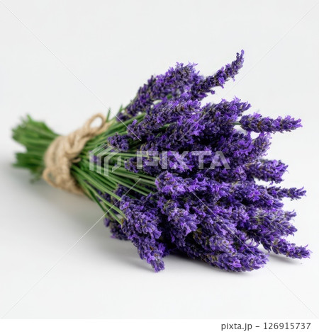 Lavender bouquet arranged on a white background for decoration or gifting purposes Lavender bouquet arranged on a white background for decoration or gifting purposes 126915737