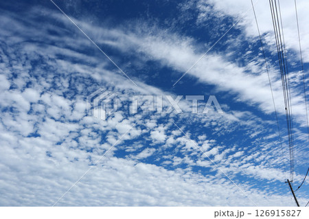 青空に浮かぶ雲 126915827