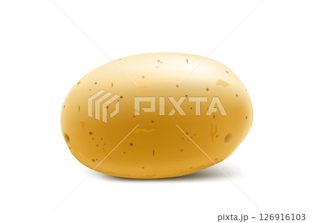 Raw whole yellow potato. Young potato mockup for web design isolated on white background. Vegetable fresh natural product, healthy lifestyle, eating concept. 3d realistic vector illustration 126916103