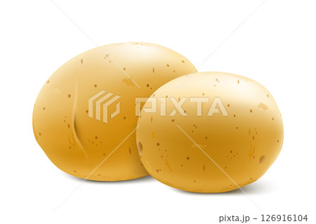 Raw whole yellow potatoes. Young potatoes mockup for web design isolated on white background. Vegetables fresh natural product, healthy lifestyle, eating concept. 3d realistic vector illustration 126916104