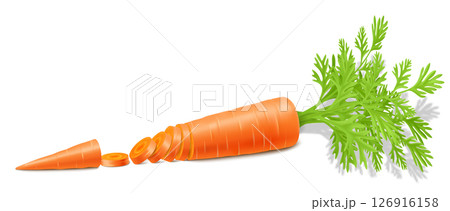 Carrots with leaves isolated on white background. Whole ripe carrot and slices. Fully editable handmade mesh. Realistic 3d Vector illustration. For cooking, menu, Herbal medicine, advertising 126916158