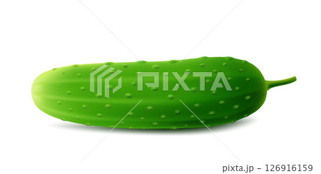 Green cucumber. Image of a ripe green cucumber. Fresh vegetarian product. Realistic 3d vector illustration isolated on a white background 126916159