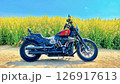 バイクと青空と黄色い菜の花 126917613