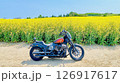 菜の花畑を走るバイク 126917617