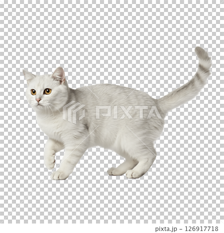 背景透過の可愛い猫 背景透過の可愛い猫 126917718