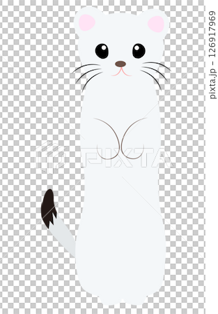 立ちポーズのかわいいオコジョ（正面）のイラスト 126917969